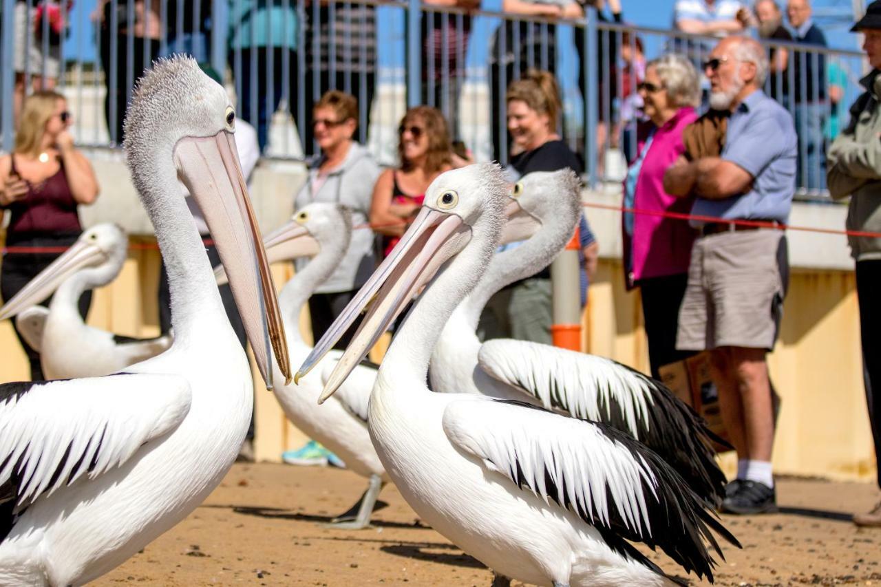 Big4 Ingenia Holidays Phillip Island Newhaven Luaran gambar